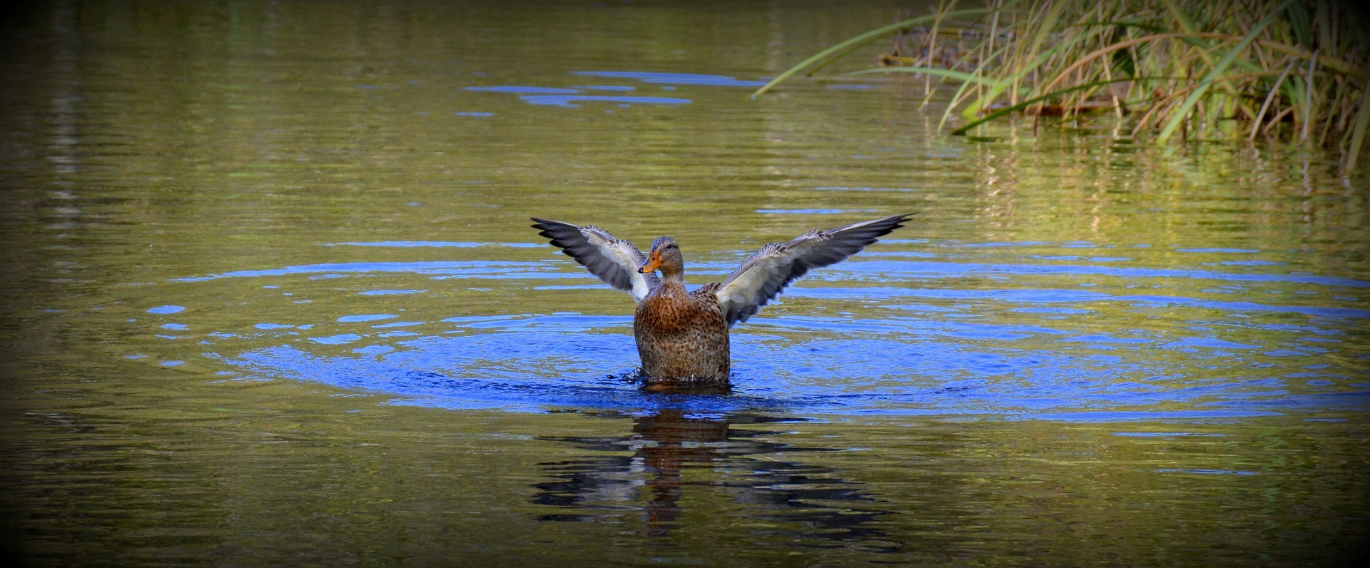 Tips for camping in Canadian national parks Parks of CANADA